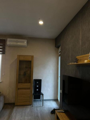 Apartment in vake